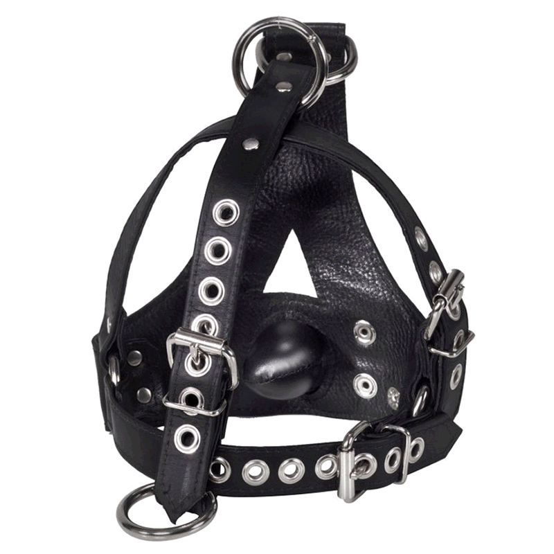 Bishop Head Harness with Removable Gag