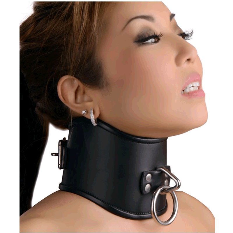 Locking Posture Collar