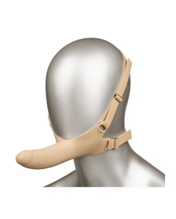 The New Accommodator®